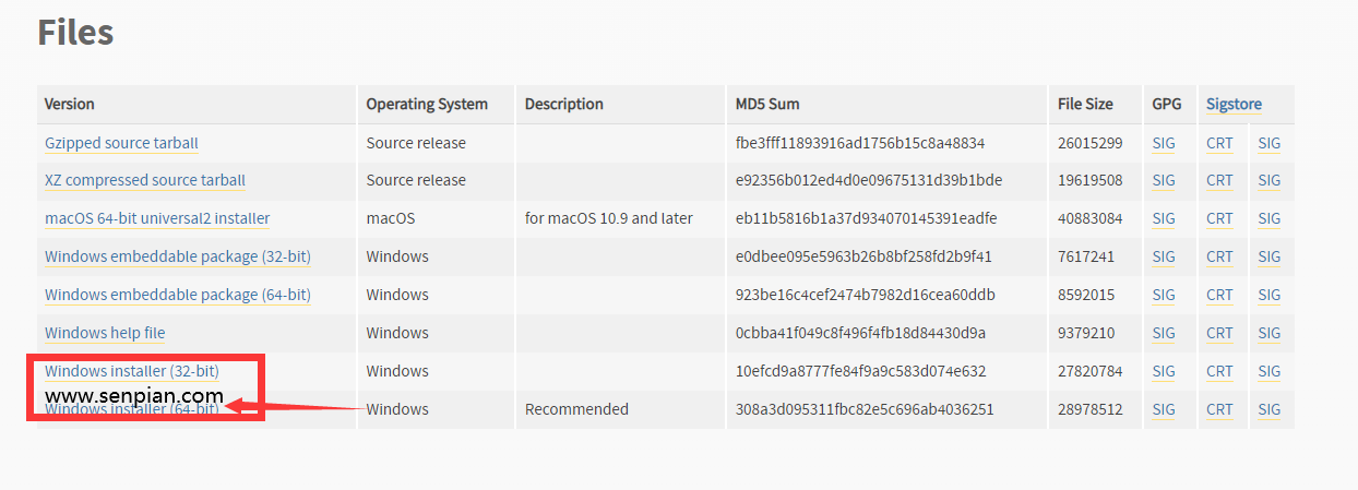Stable Diffusion 使用自己的电脑进行AI绘画!-森片